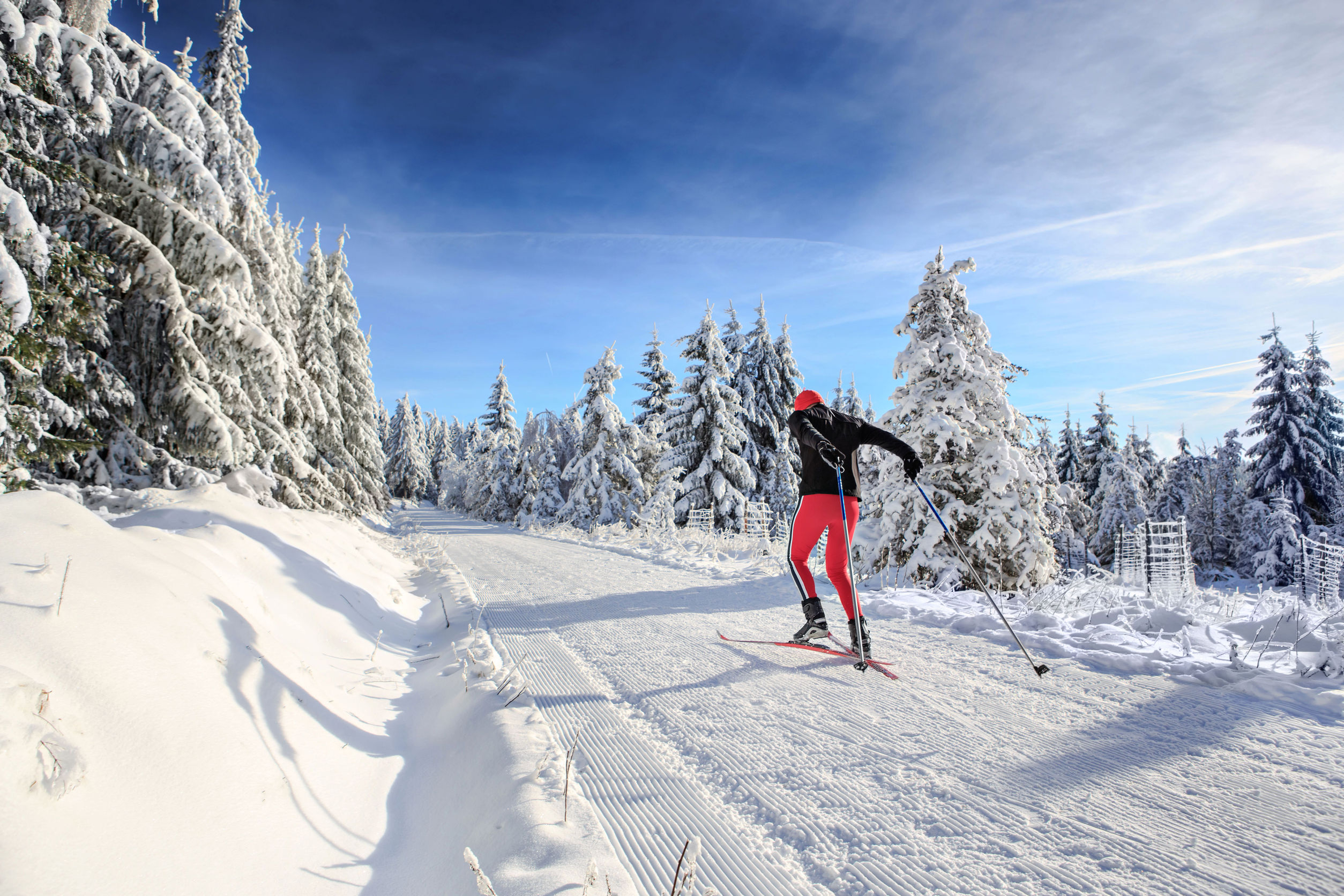 After skiing. На лыжах в лесу. Катание на лыжах. Лыжник в лесу. Зимние лыжи.