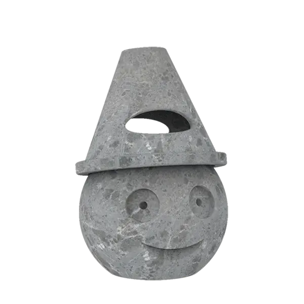 R 501